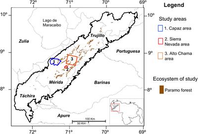 Impacts of Global Change on the Spatial Dynamics of Treeline in Venezuelan Andes